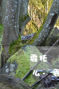委托辦理停息掛賬需要征信報(bào)告么-委托辦理停息掛賬需要征信報(bào)告么嗎