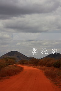 委托逾期協(xié)商分期