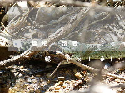 委托離婚后財產(chǎn)分割律師找誰(離婚協(xié)議牽扯到財產(chǎn)分割需要請律師寫嗎?)