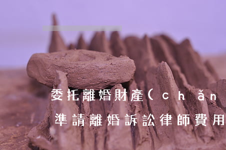 委托離婚財產(chǎn)訴訟律師收費標準(請離婚訴訟律師費用)