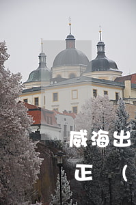 威海出國勞務網(wǎng)(威海出國勞務正規(guī)派遣公司)