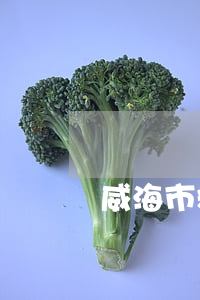 威海市精致城市建设条例最新【全文】