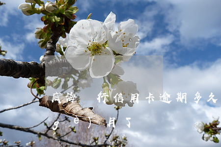 威海銀行信用卡逾期多久(信用卡逾期幾個(gè)月了)