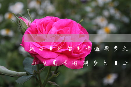 威海銀行信用卡逾期多久會上征信-威海銀行信用卡逾期多久會上征信報告