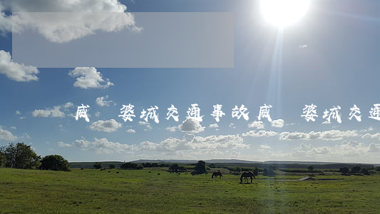 威遠婆城交通事故(威遠婆城交通事故)