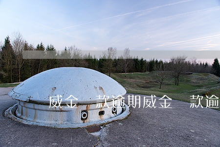 威金貸款逾期(威金貸款逾期會怎么樣)