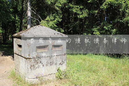 娄底专业的债权债务律师哪里找(娄底讨债公司电话)