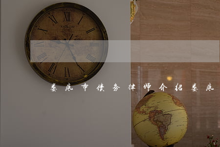 娄底市债务律师介绍(娄底最有名的律师)
