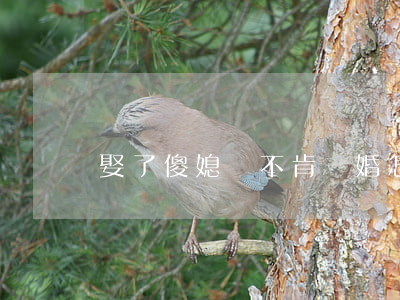 娶了傻媳婦不肯離婚怎么辦