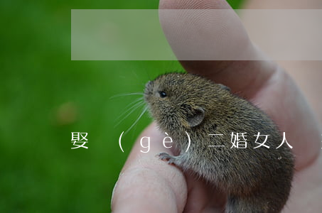 娶個(gè)二婚女人離婚了怎么辦