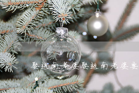 娶越南老婆(娶越南老婆要辦什么手續(xù))