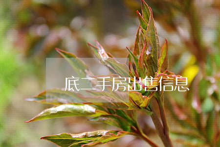 婁底二手房出售信息