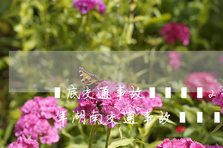 婁底交通事故賠償標準2021年(2021年湖南交通事故賠償標準)