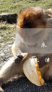 婁底債務(wù)律師哪個(gè)好-婁底律師事務(wù)所排名