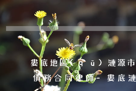 婁底地區(qū)漣源市債權(quán)債務合同律師-婁底漣源律師事務所