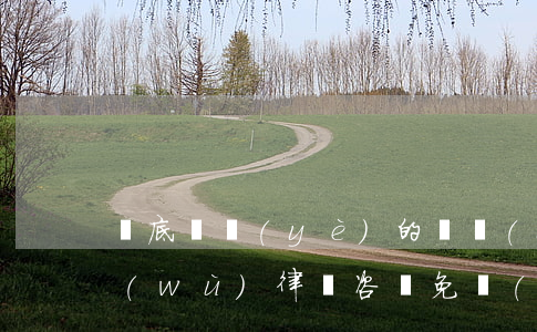婁底專業(yè)的債權(quán)債務(wù)律師咨詢免費(fèi)-婁底債務(wù)律師事務(wù)所哪個好
