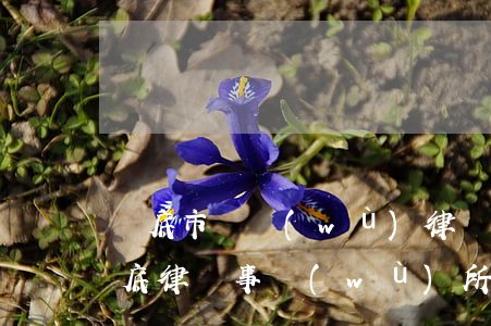 婁底市債務(wù)律師哪個(gè)好(婁底律師事務(wù)所一般怎么收費(fèi))