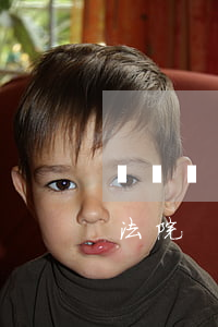 婁煩勞動(dòng)糾紛律師(婁煩縣人民法院)