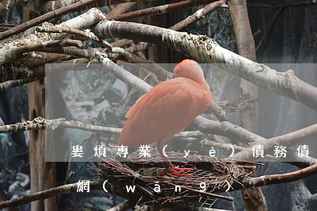 婁煩專業(yè)債務債權律師(婁煩縣律師網(wǎng))