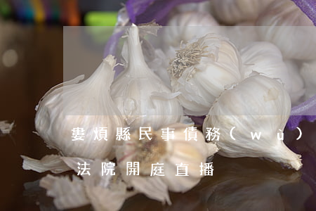 婁煩縣民事債務(wù)糾紛律師-婁煩縣法院開庭直播