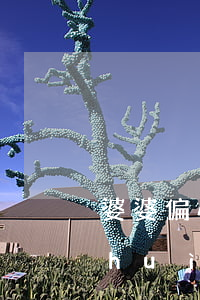 婆婆偏心會(huì)離婚嗎(婆婆偏心會(huì)離婚嗎)