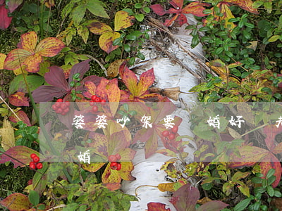 婆婆吵架要離婚好嗎(夫妻因為公婆吵架想離婚)