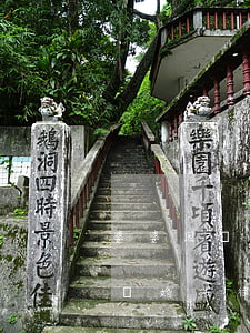 婆婆因為兒媳不給錢讓兒子離婚(公婆讓兒子離婚法律允許嗎)