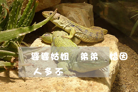 婆婆姑姐讓弟弟離婚(因為婆婆大姑姐離婚的人多不)