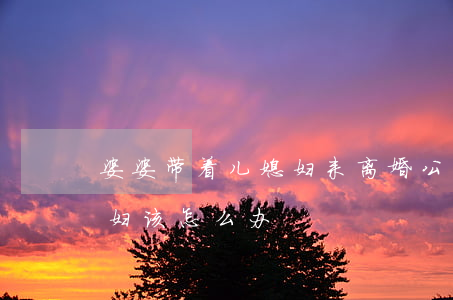 婆婆带着儿媳妇来离婚(公公婆婆要离婚儿媳妇该怎么办)