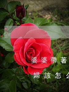 婆婆帶著兒媳婦來離婚(公公婆婆要離婚兒媳婦該怎么辦)