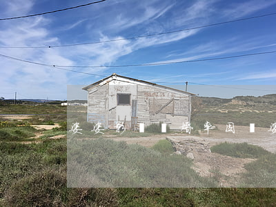 婆婆影響離婚率(因為婆婆離婚的多嗎)