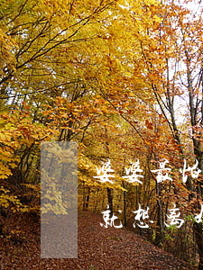 婆婆最怕你离婚(很讨厌婆婆怎么办,看见婆婆就想离婚)