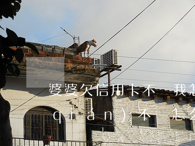 婆婆欠信用卡不還我怎么辦(婆婆欠我的錢(qián)不還怎么辦)