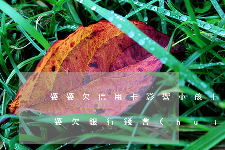 婆婆欠信用卡影響小孩上學(xué)嗎(婆婆欠銀行錢會(huì)影響我嗎)