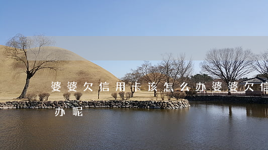 婆婆欠信用卡该怎么办(婆婆欠信用卡该怎么办呢)
