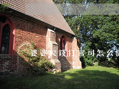 婆婆欠錢打官司怎么辦（婆婆欠錢打官司）