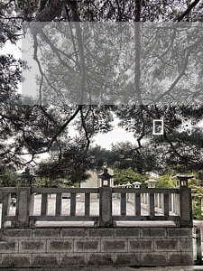 婆婆說好要離婚怎么辦(離婚要不要告訴婆婆)