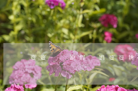 婆婆讓兒媳假離婚(婆婆挑撥兒子離婚的下場)