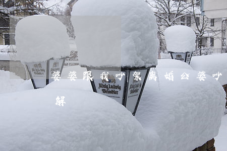 婆婆跟我吵架离婚(公婆吵架离婚我该怎么调解)