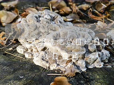 婆婆跪地求兒媳別離婚后續(xù)(婆婆希望我們離婚)