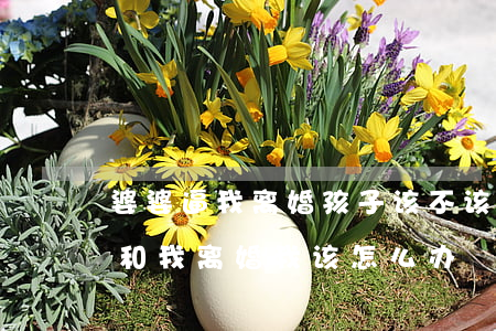 婆婆逼我离婚孩子该不该跟她走(婆婆让儿子和我离婚,我该怎么办)
