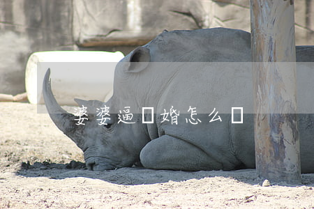 婆婆逼離婚怎么辦