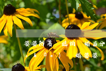婆婆防著兒媳怕離婚后分財(cái)產(chǎn)(離婚婆婆搶孩子)