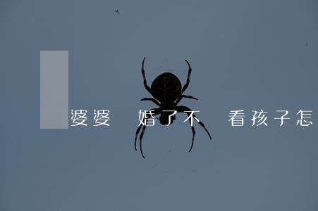 婆婆離婚了不給看孩子怎么辦