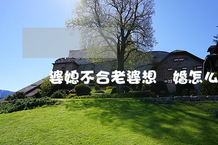 婆媳不合老婆想離婚怎么辦