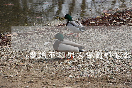 婆媳不和男人提离婚怎么办