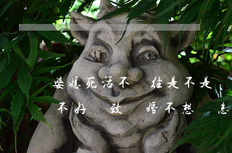 婆媳死活不來往是不是該離婚(因為婆媳關系不好導致離婚,不想離,怎么辦)