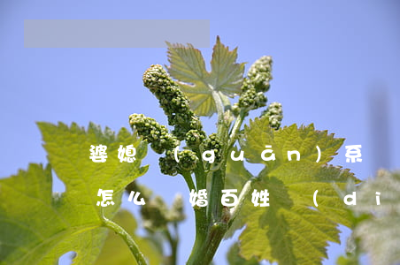 婆媳關(guān)系調(diào)解后怎么離婚(百姓調(diào)解婆媳矛盾鬧離婚)