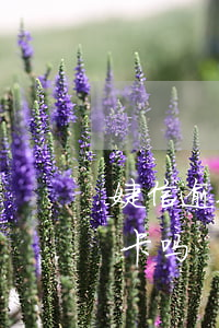 婕信逾期能办信用卡吗(捷信逾期可以办信用卡吗)