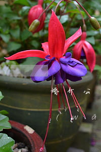 婚介公司怎么注冊(cè)(注冊(cè)網(wǎng)上婚介公司流程)